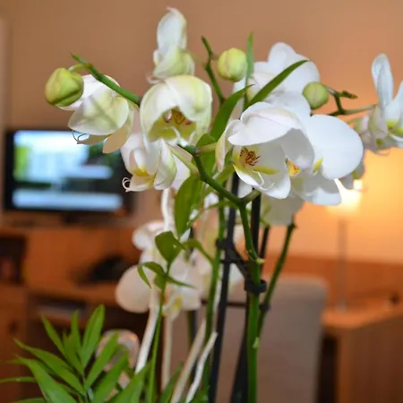 Hotell Concorde Viktoria Kronberg im Taunus