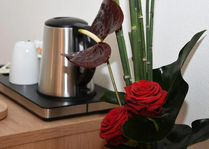 Hotel Concorde Viktoria 4*