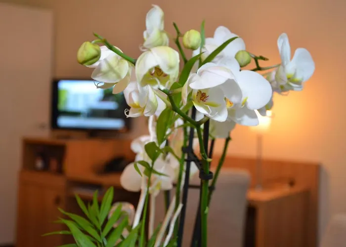 Hotel Concorde Viktoria Kronberg im Taunus